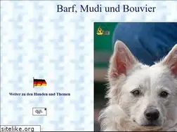 Sites similar to barfer.ch