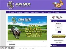 Sites similar to barisgoksu.com