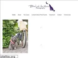 Sites similar to barkatthemoonpetphotography.com
