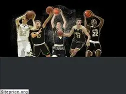 Sites similar to barnstormersbasketball.com