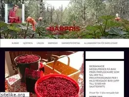 Sites similar to barpris.se