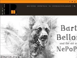 Sites similar to bartbellon.com