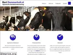 Sites similar to bartdommerholt.nl