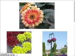 Sites similar to bartelsplants.com