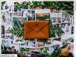 Sites similar to bartlettpairphotography.com