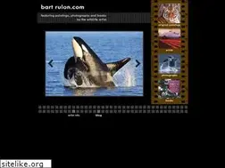 Sites similar to bartrulon.com