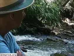Sites similar to barulhodeagua.com