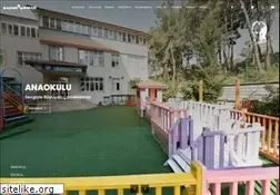 Sites similar to basarikoleji.k12.tr