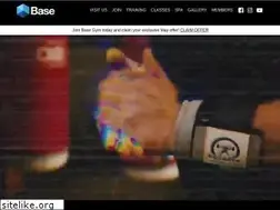 Sites similar to basenj.com
