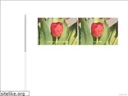 Sites similar to basimmagdy.com