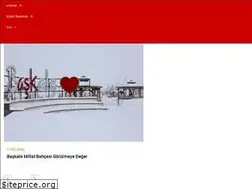 Sites similar to baskale.gov.tr