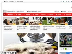Sites similar to baskenthaber06.com