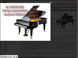 Sites similar to baskentmusic.com