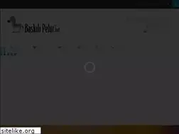 Sites similar to baskilipelur.net