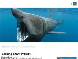 Sites similar to baskingshark.org