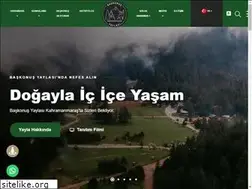 Sites similar to baskonusyaylasi.com