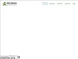 Sites similar to basmisirlihali.com.tr