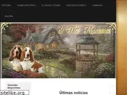 Sites similar to basset-hound.es