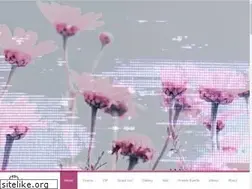 Sites similar to bassmntsd.com