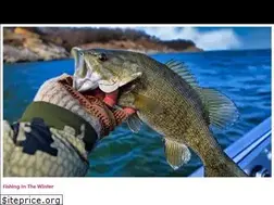 Sites similar to bassnedge.com