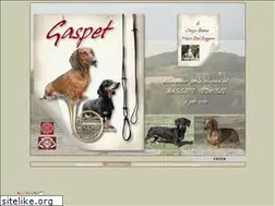 Sites similar to bassottigaspet.com