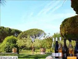 Sites similar to bastideneuve.fr