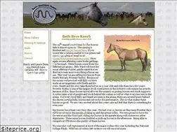 Sites similar to bathbros.com