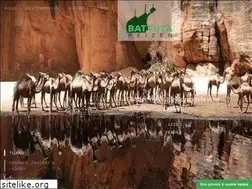 Sites similar to battuta-reizen.nl