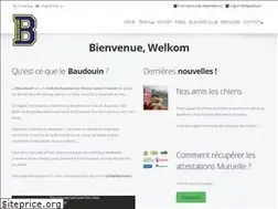 Sites similar to baudouin.be