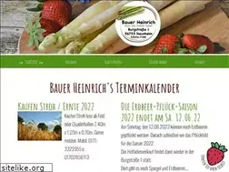Sites similar to bauer-heinrich.de