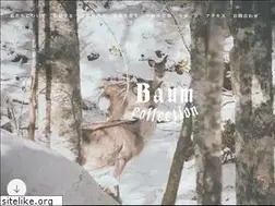 Sites similar to baumcollection.com