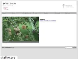 Sites similar to baumwert.de