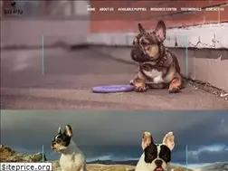Sites similar to bayareabulldogs.com