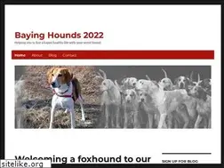 Sites similar to bayinghounds.com