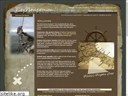 Sites similar to baynavigator.com