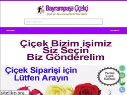 Sites similar to bayrampasacicekci.com