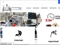 Sites similar to bayrampasaveteriner.com