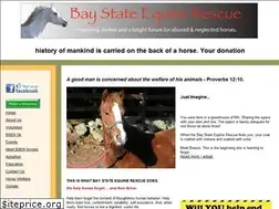 Sites similar to baystateequinerescue.com