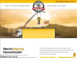 Sites similar to bayvinc.com