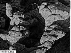 Sites similar to bazar-noir.com