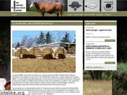 Sites similar to bbbgsimmental.com