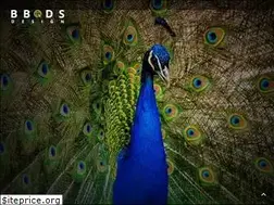 Sites similar to bbdsdesign.com