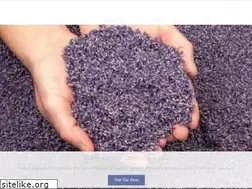 Sites similar to bbfamilyfarm.com