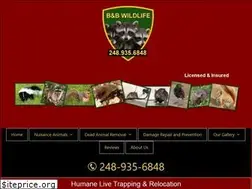 Sites similar to bbwildliferemoval.com