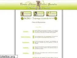 Sites similar to bcbgtoilettage.com