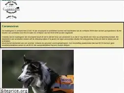 Sites similar to bccn.nl