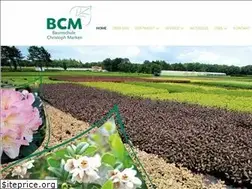 Sites similar to bcm-online.net