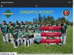 Sites similar to bcminorbaseball.org