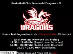 Sites similar to bco-dragons.de