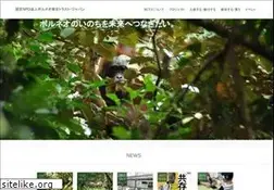 Sites similar to bctj.jp